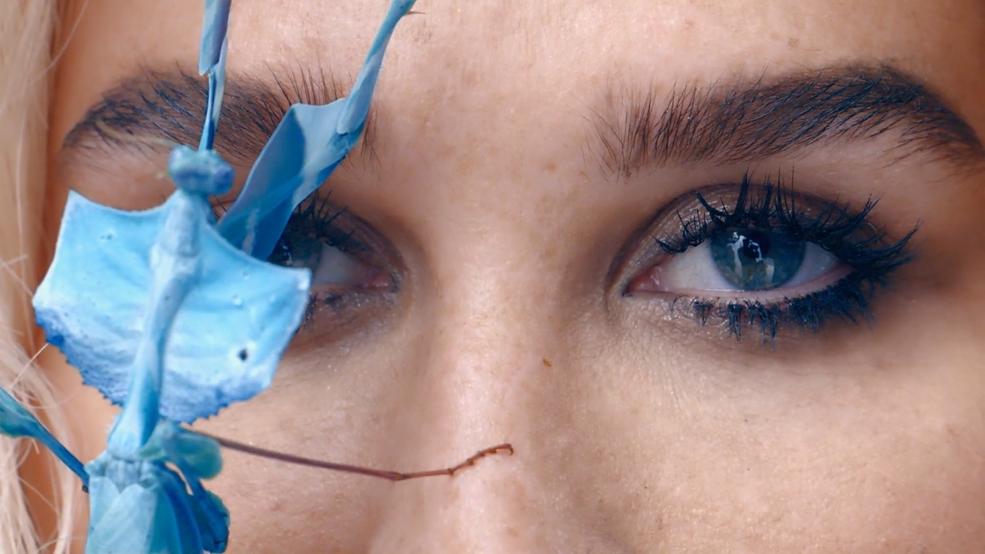 Backdrop for Kesha: Rainbow - The Film