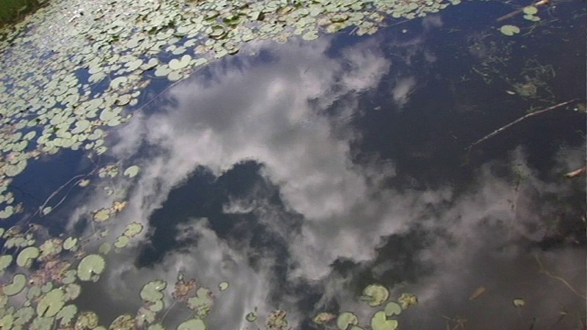 Backdrop for A Day of the GOD Island