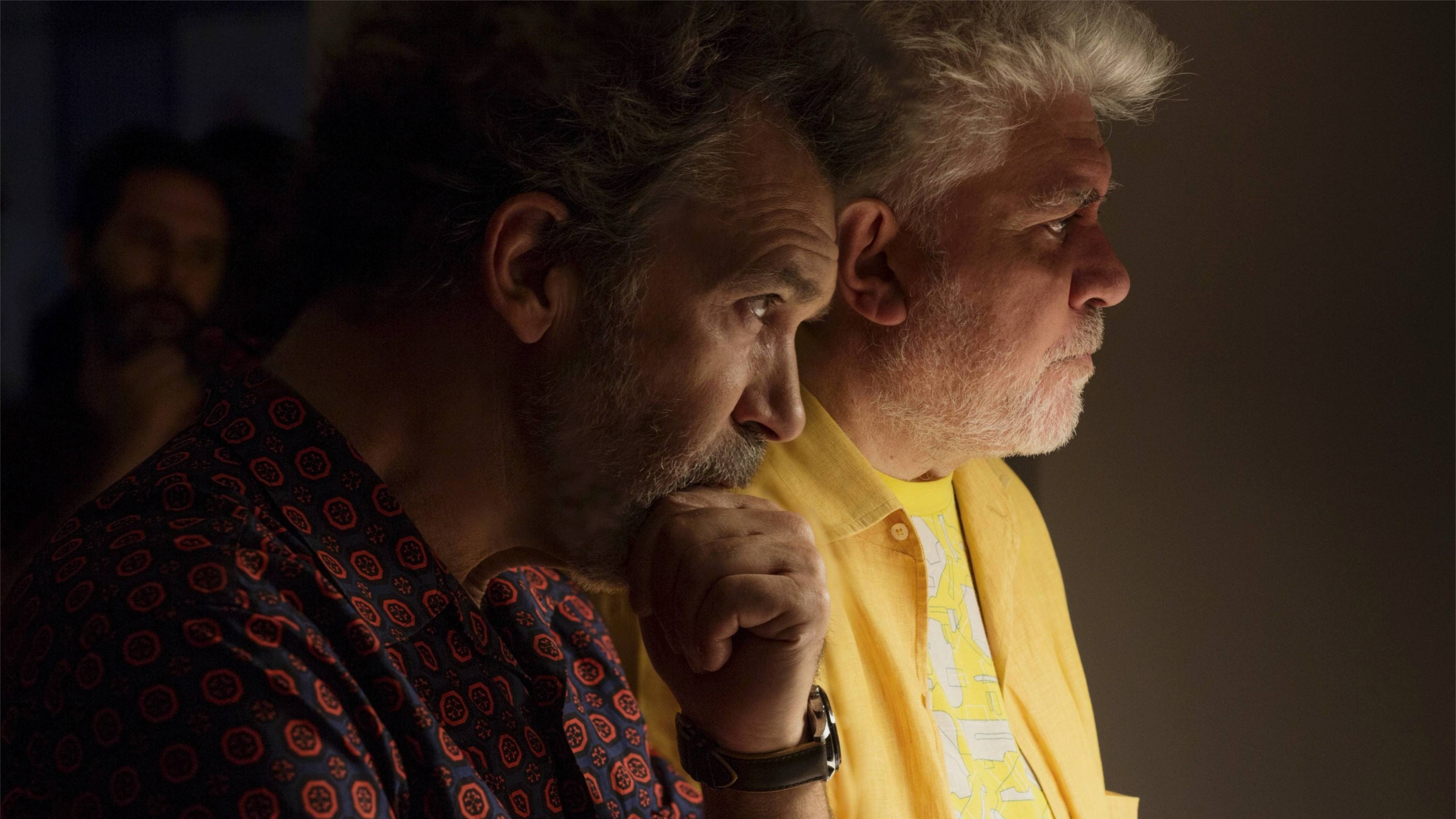 Backdrop for The Making of Pain and Glory