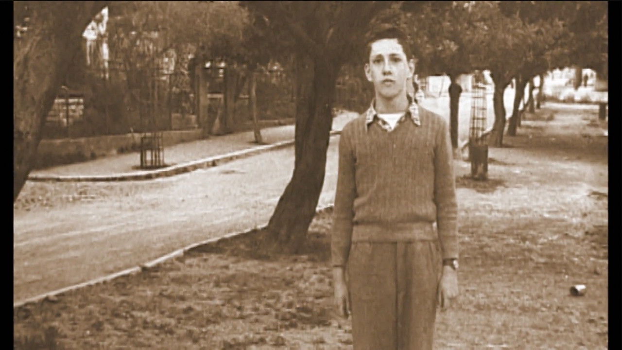 Backdrop for Amos Oz: The Nature of Dreams