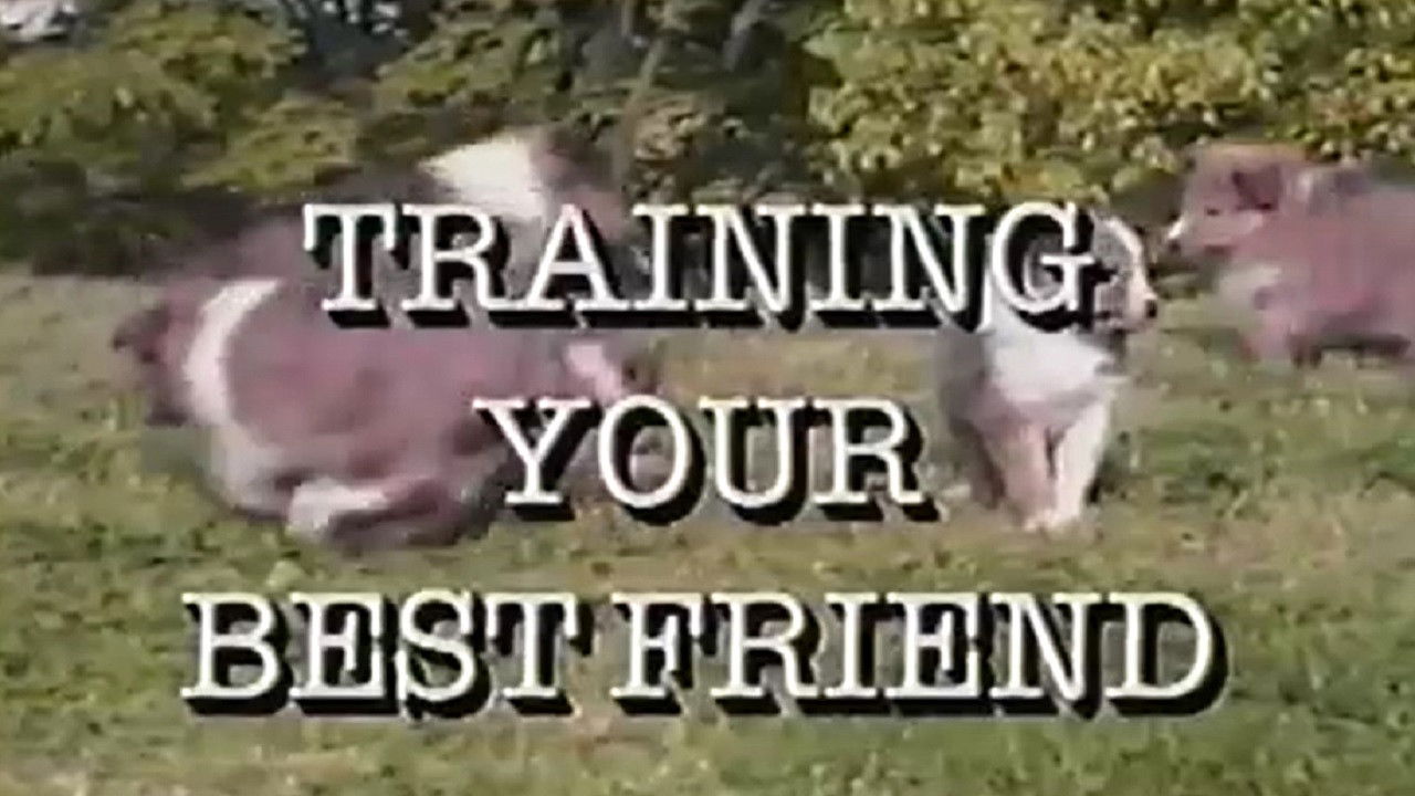 Backdrop for Training Your Best Friend