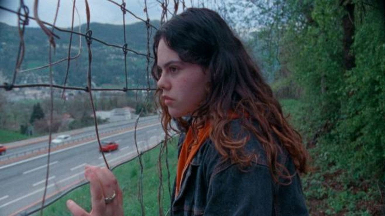 Backdrop for Wild Flower