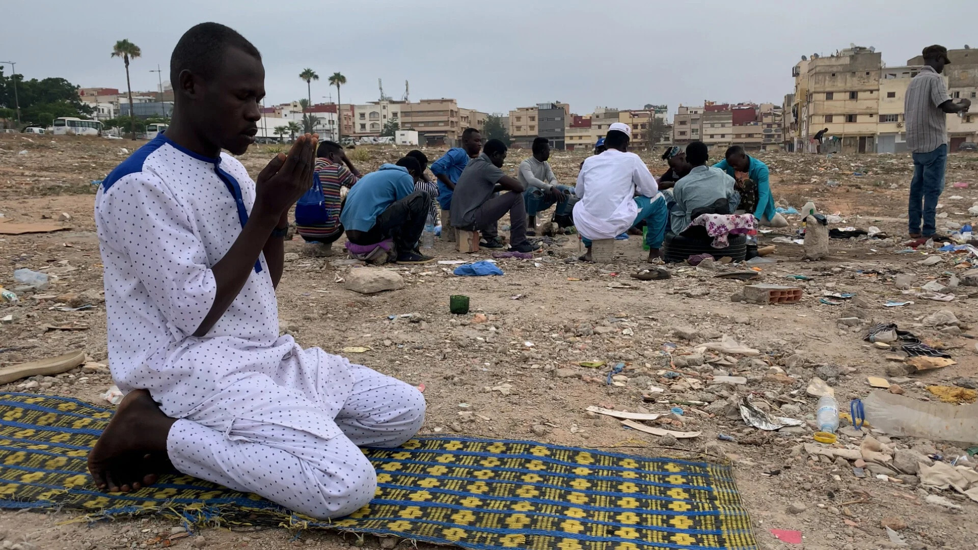 Backdrop for This Jungo Life