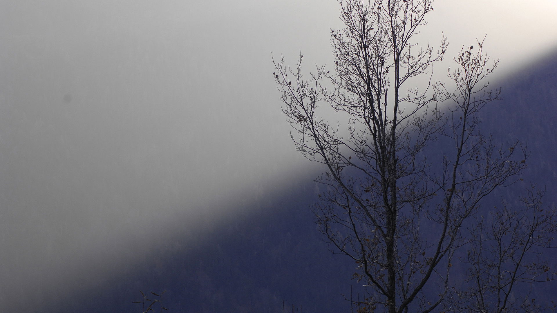 Backdrop for The Mirror