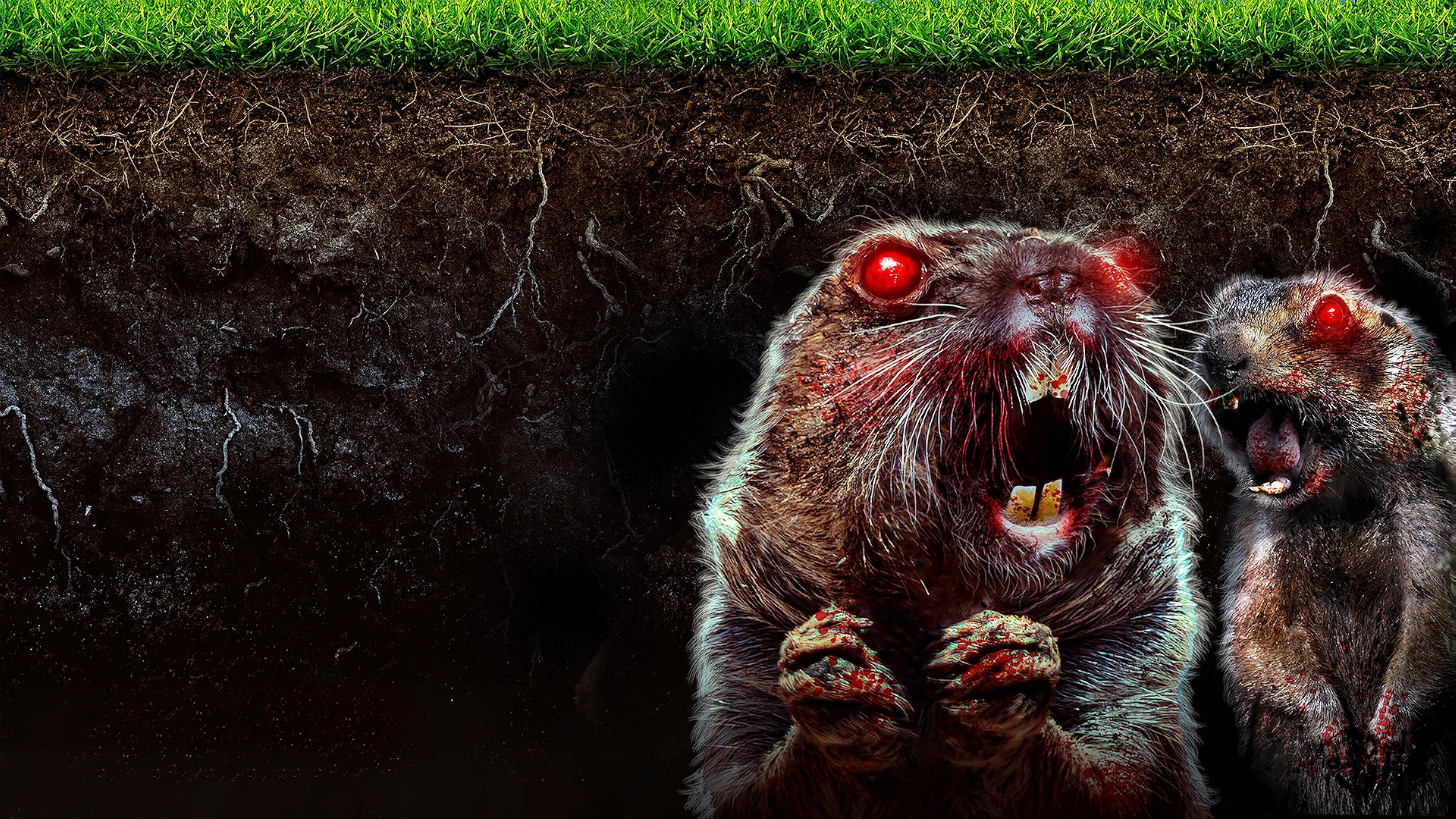 Backdrop for Caddy Hack