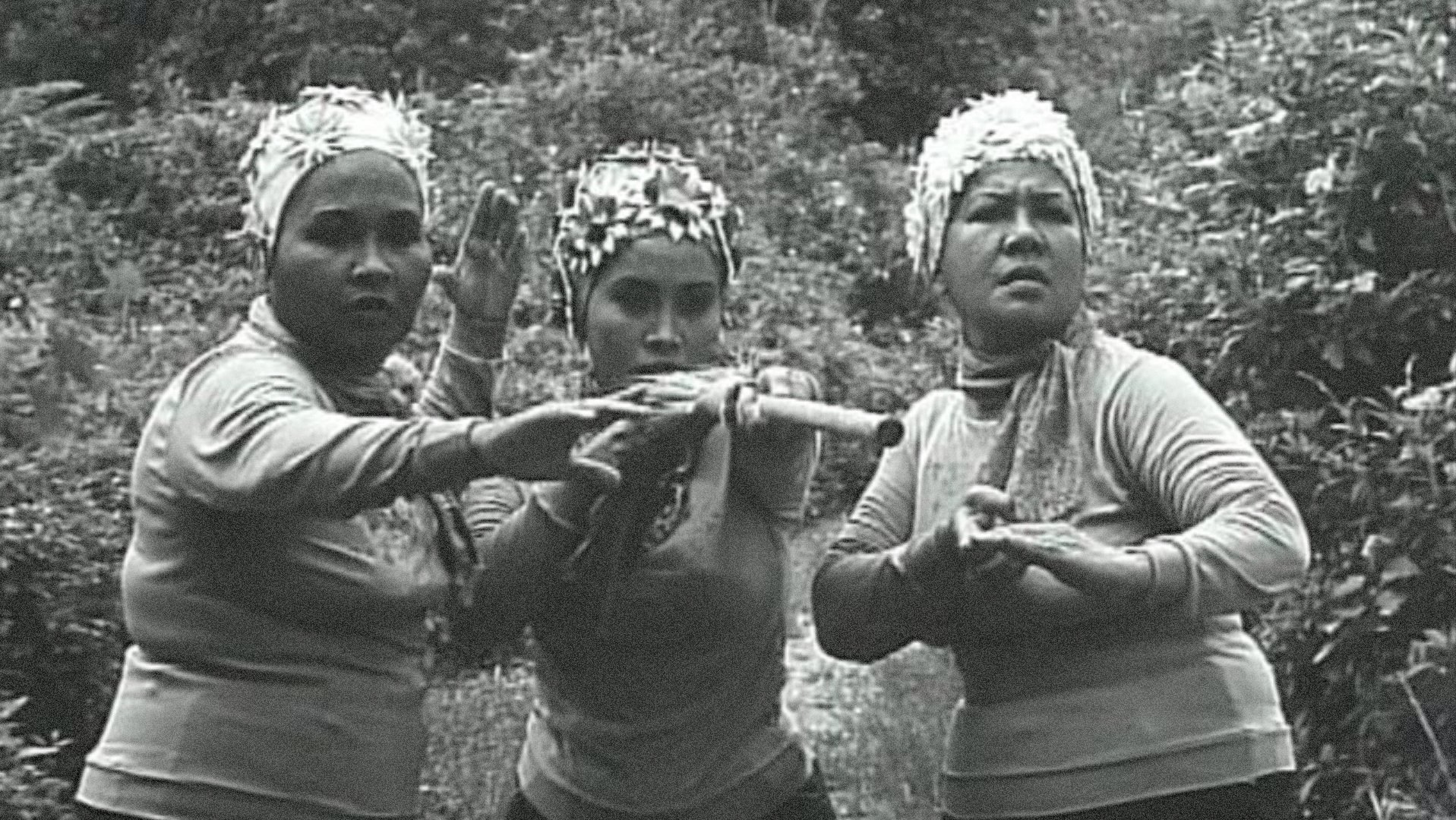 Backdrop for Mat Pirate