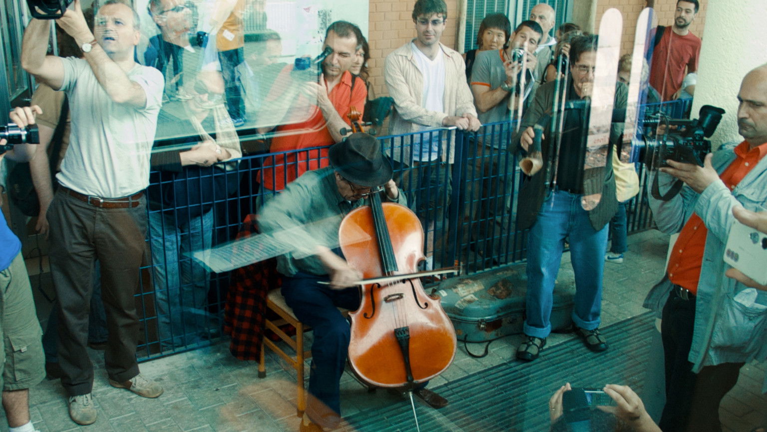 Backdrop for Take the Cage Train – Boletus Edulis