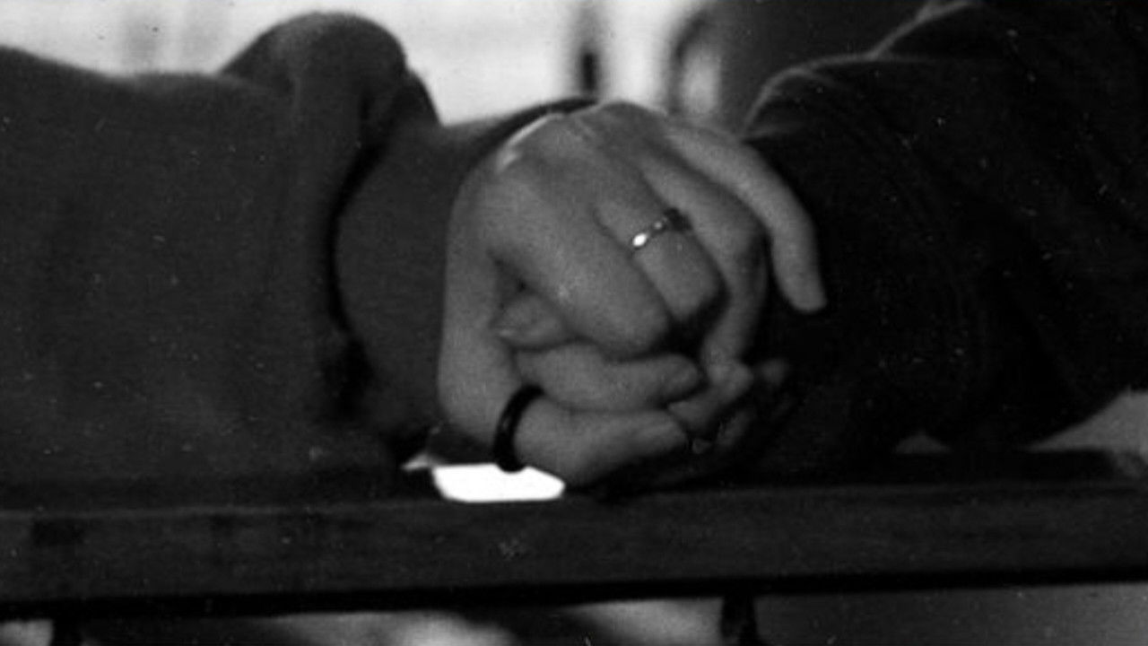 Backdrop for O Elefante Na Sala