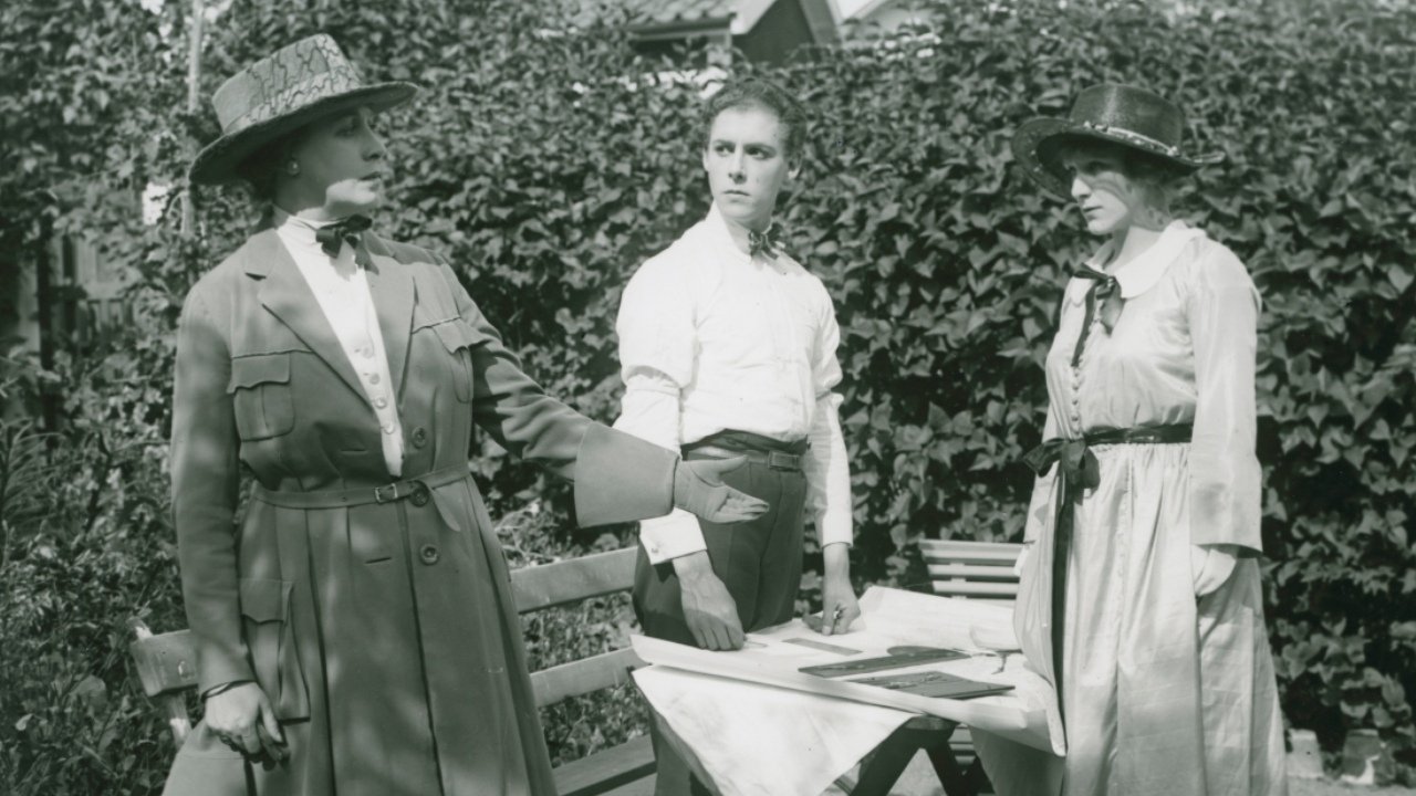 Backdrop for A Wild Bird