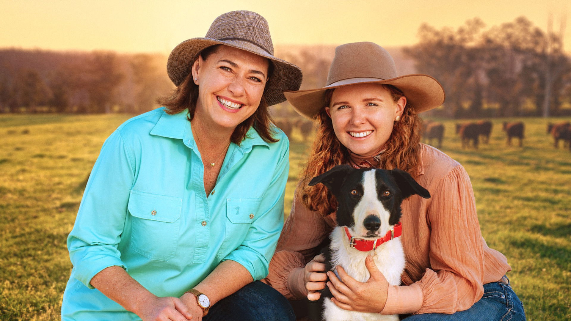 Backdrop for Muster Dogs: Where Are They Now