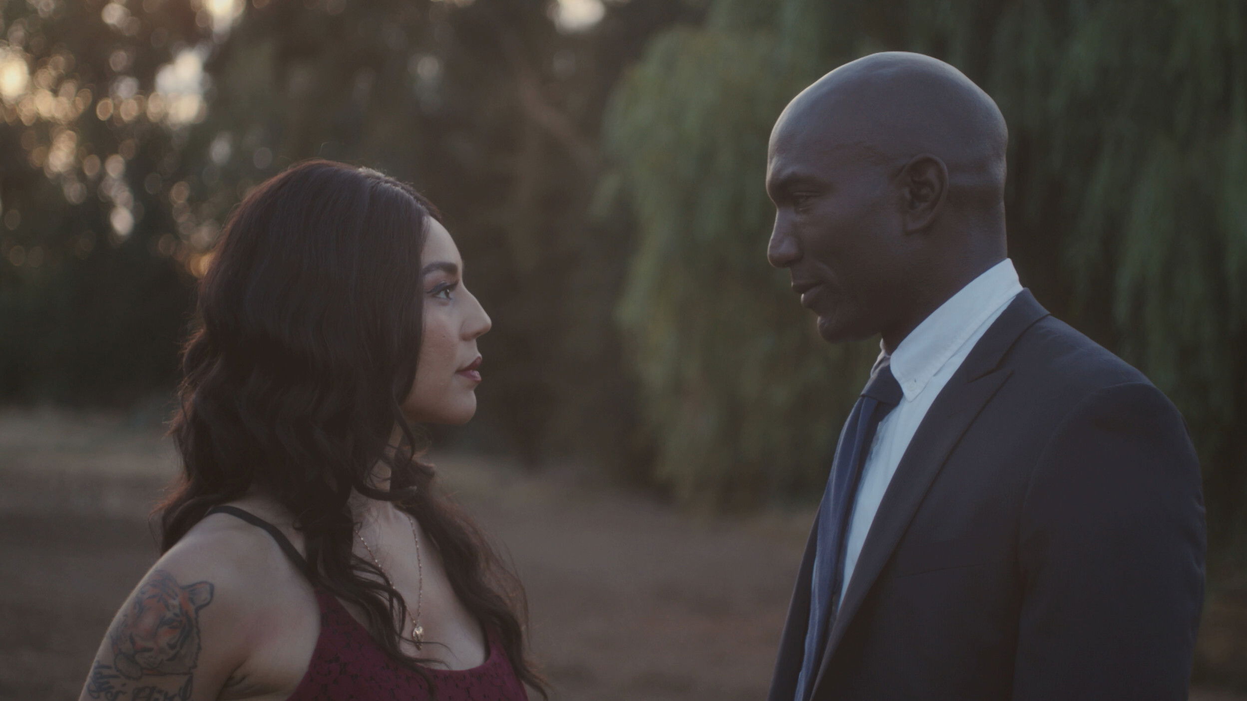 Backdrop for The Contrast