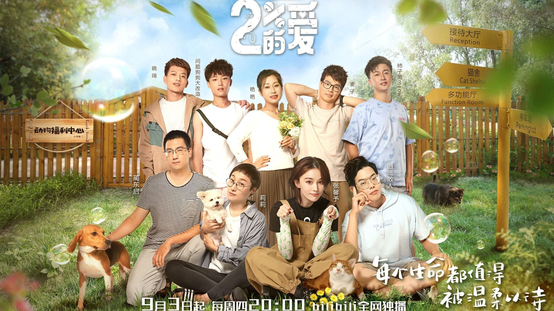 Backdrop for 百分之二的爱