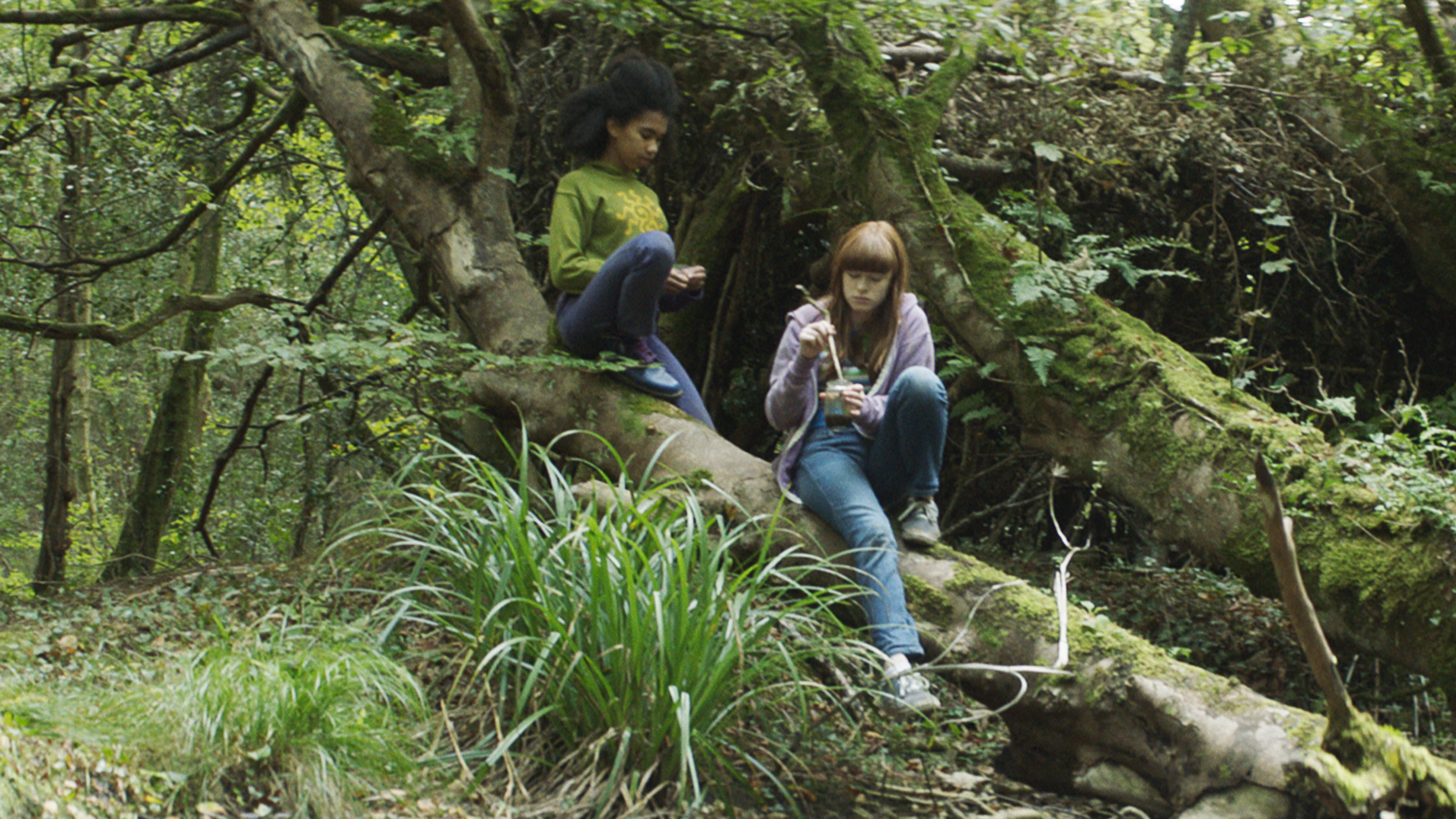 Backdrop for Summer in the Shade