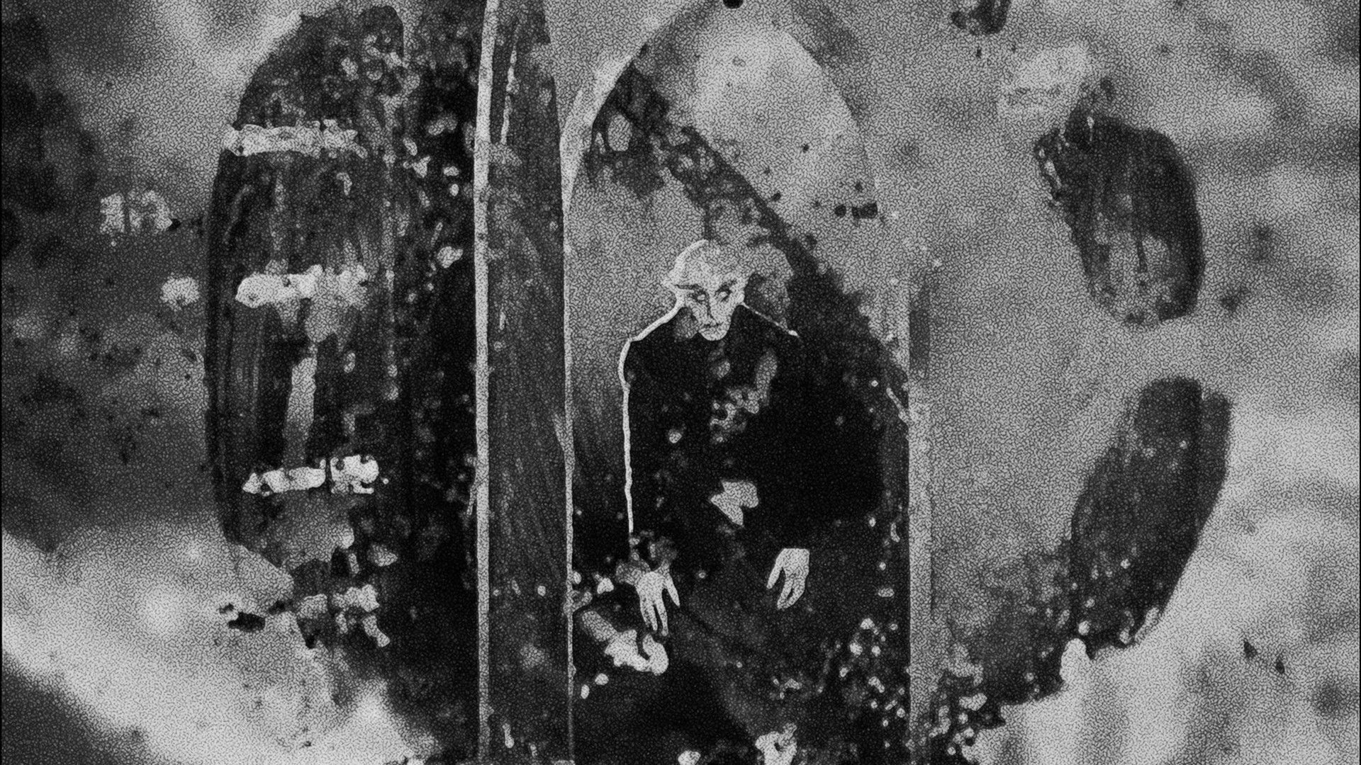 Backdrop for Speedball Nosferatu