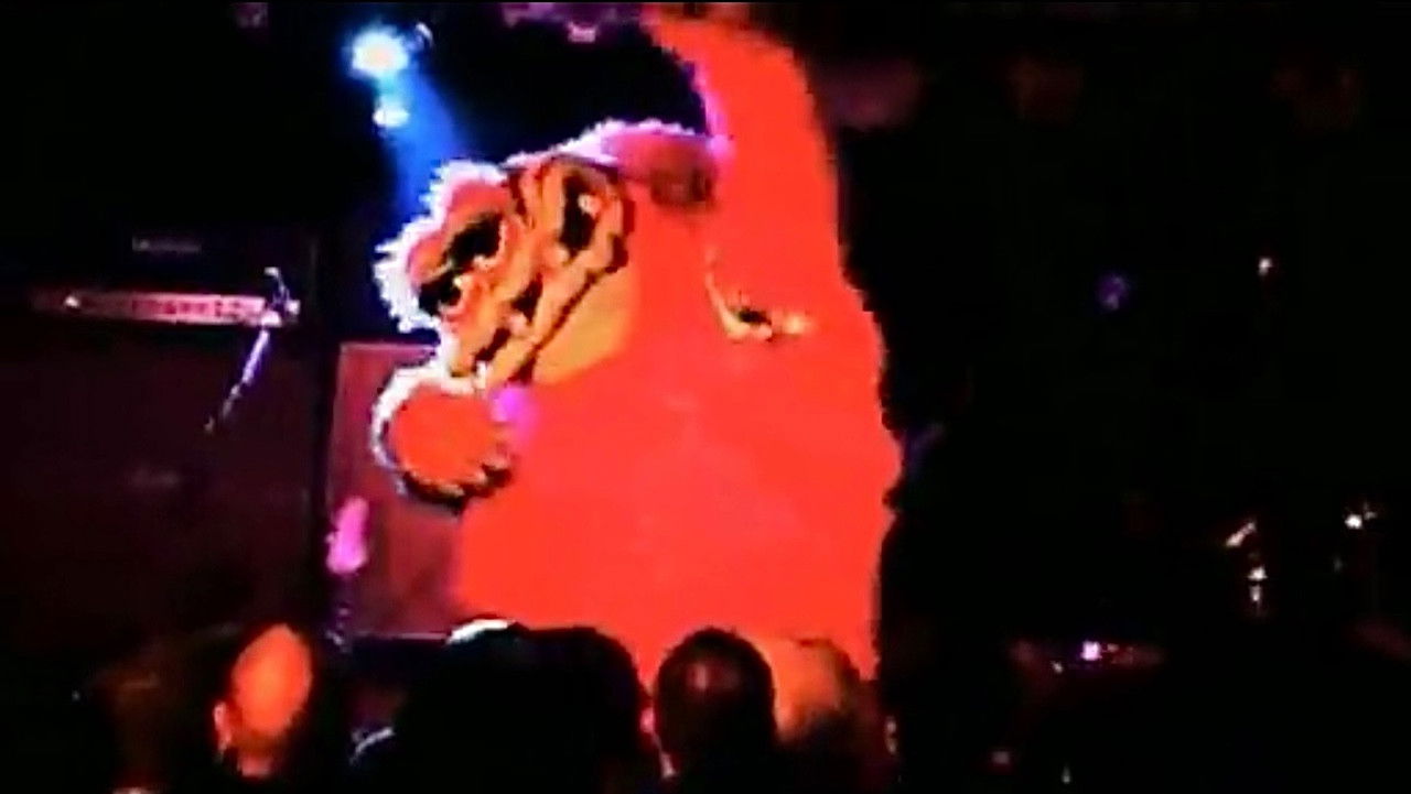 Backdrop for Dinosaur Jr: Live in the Middle East