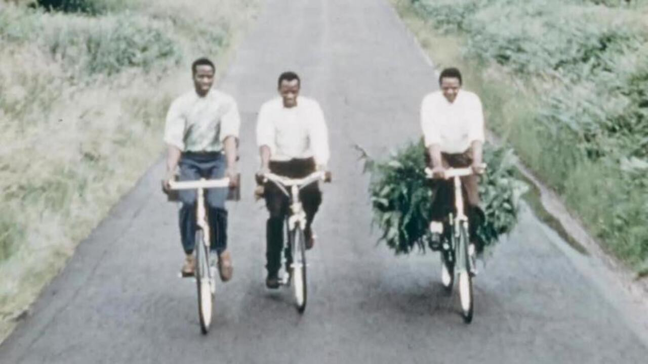 Backdrop for Phillips Bicycles - Publicity Films for West Africa