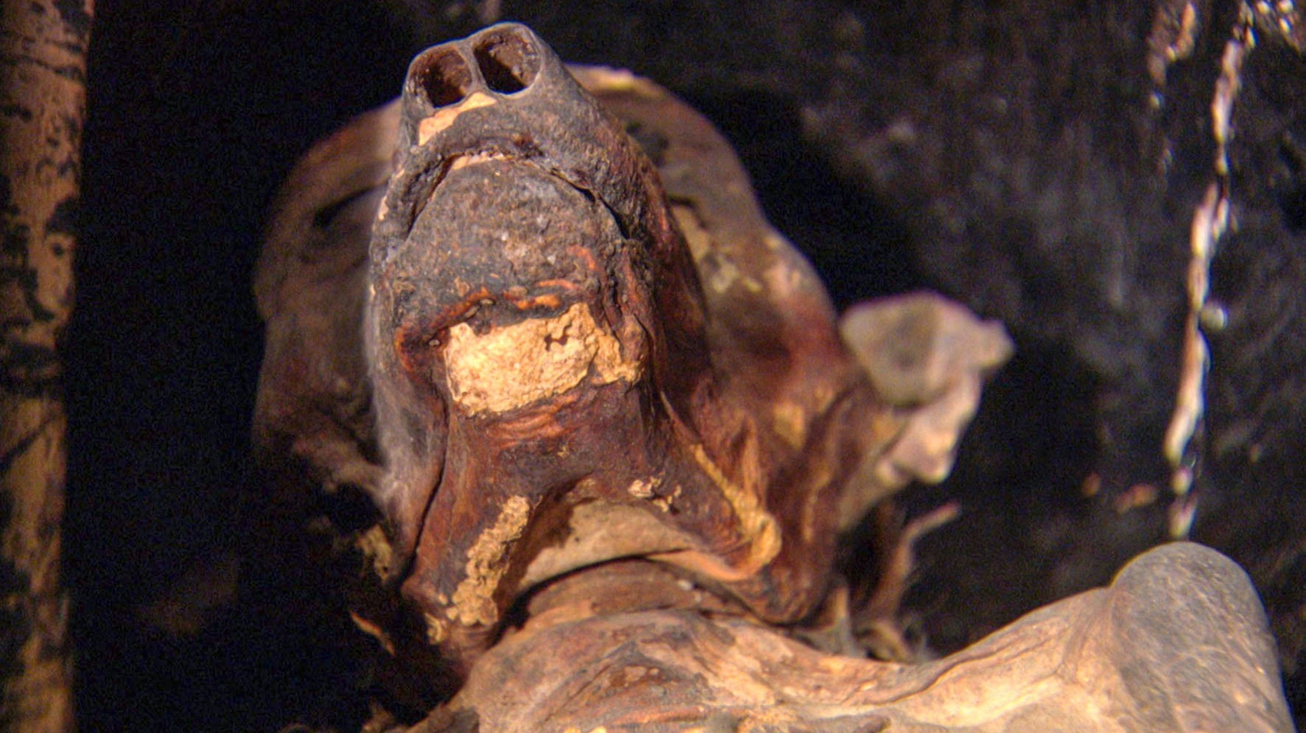 Backdrop for The Mysterious Mummified Dogs of Ancient Egypt