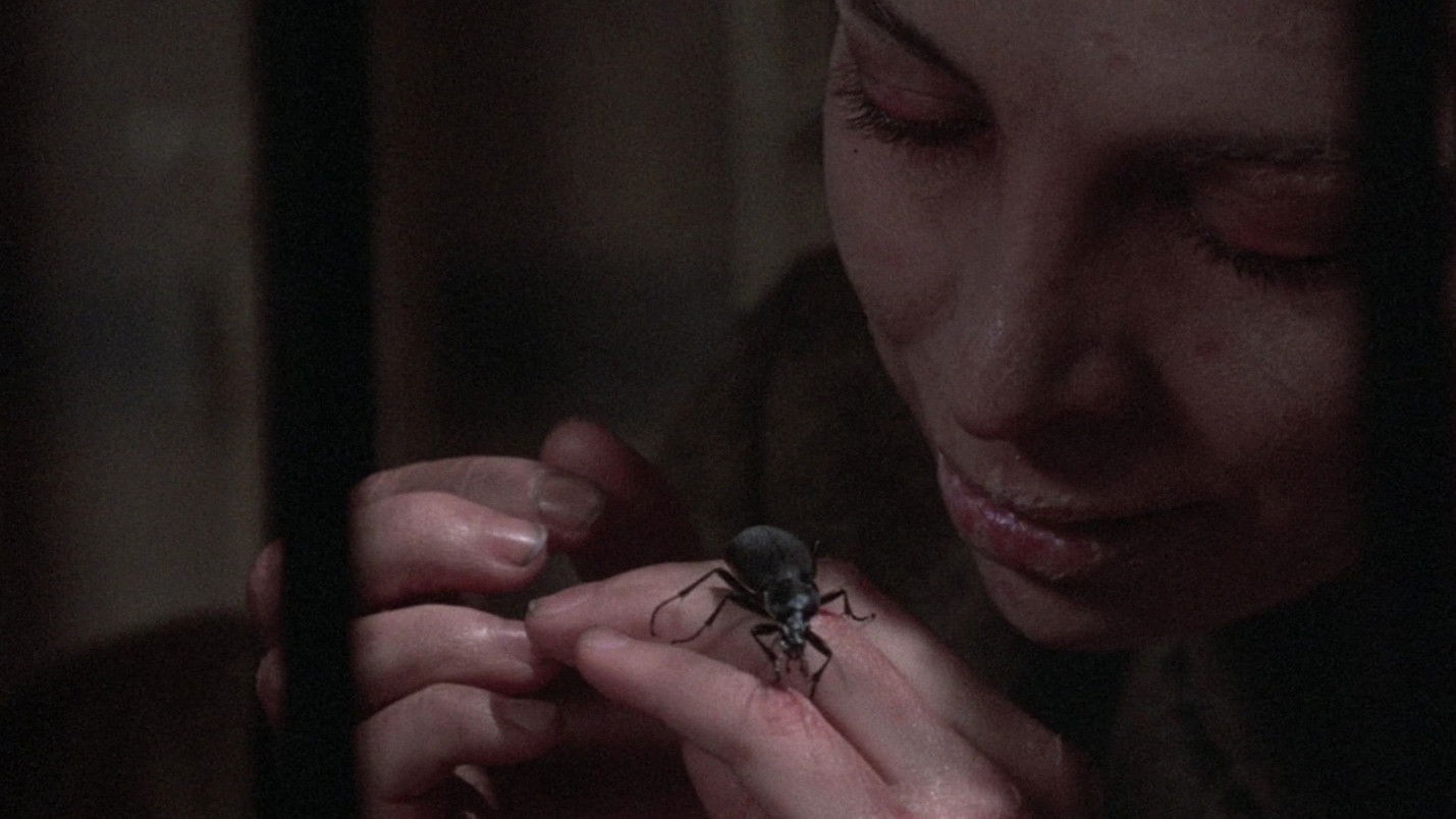 Backdrop for Do You Remember Love