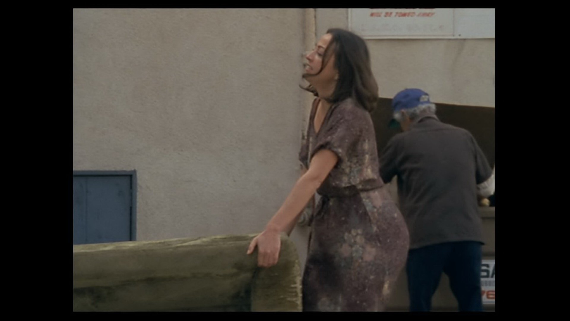 Backdrop for The Gleaners and I: Two Years Later