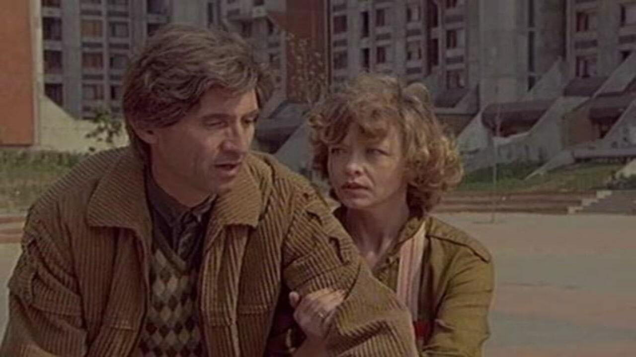 Backdrop for Part-Time Divorce