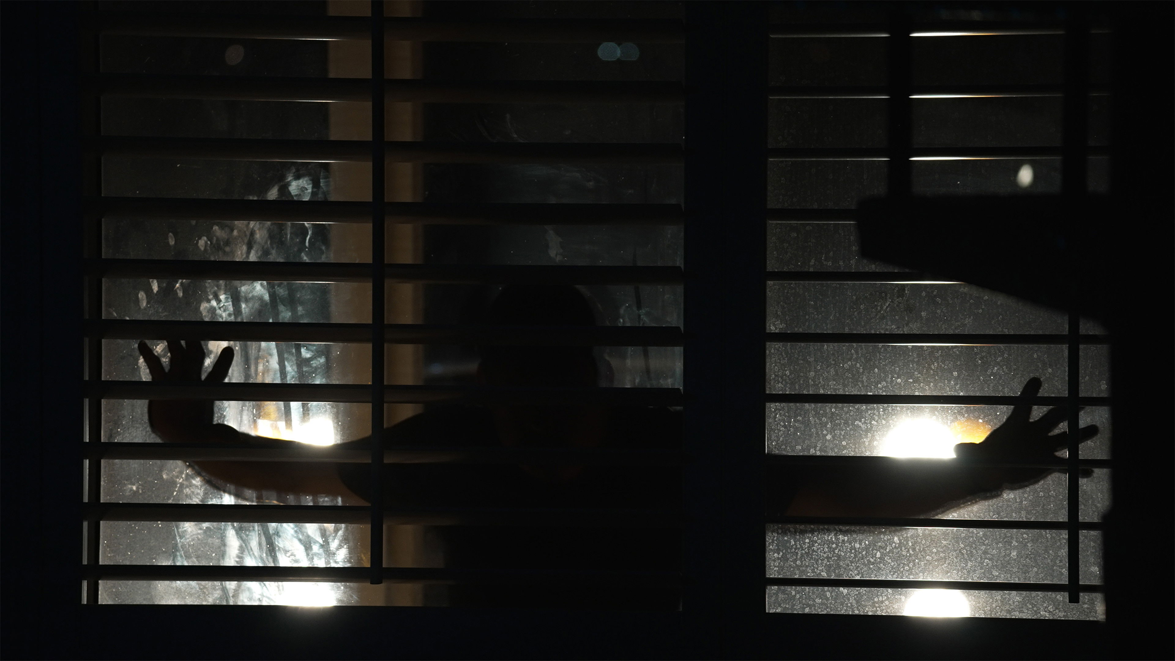 Backdrop for Spread: Pigs to Slaughter