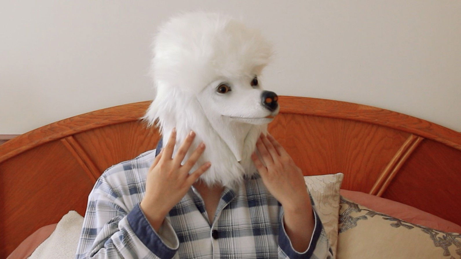 Backdrop for I Wish I Was A Dog