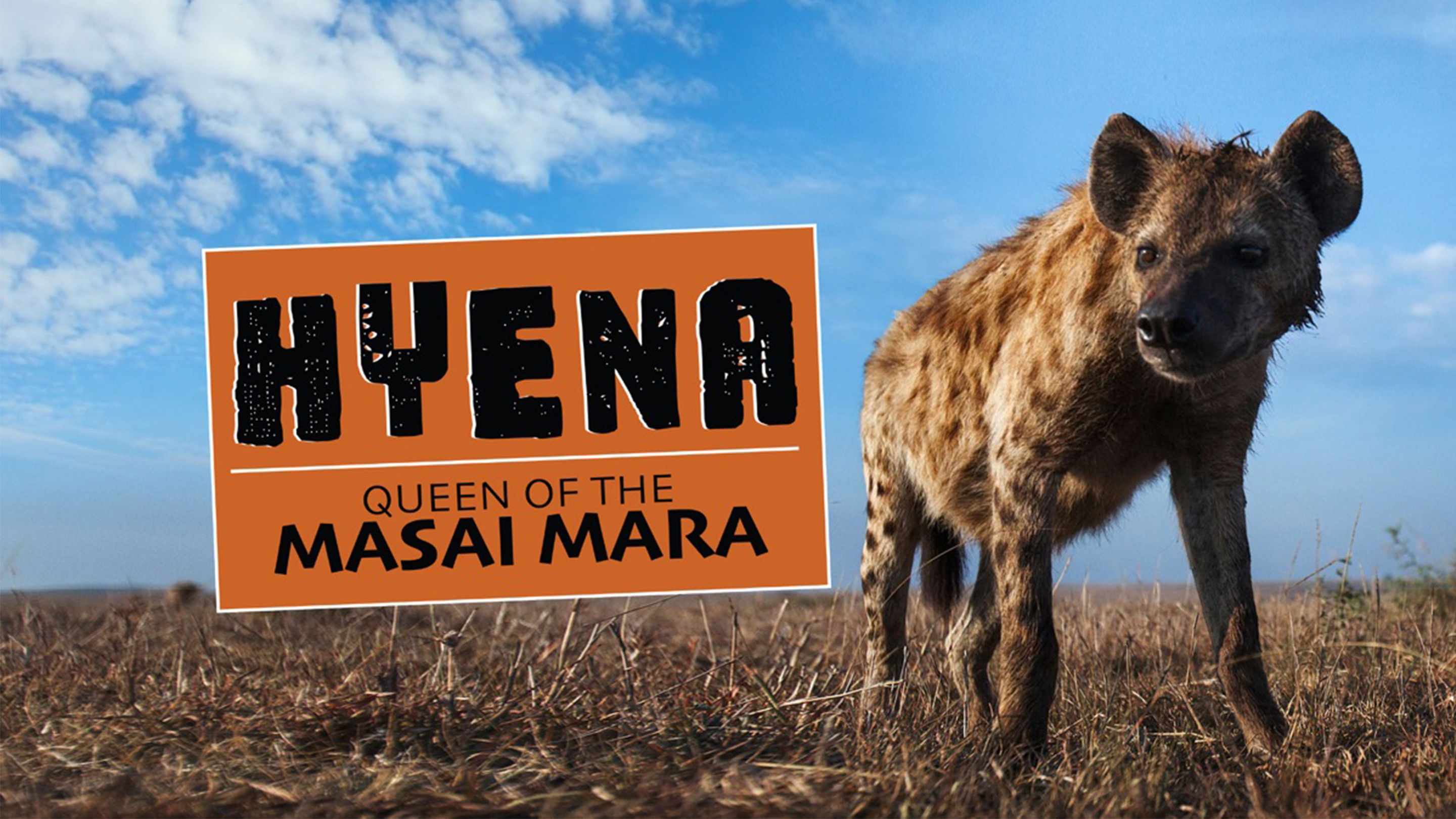 Backdrop for Hyena: Queen of the Masai Mara