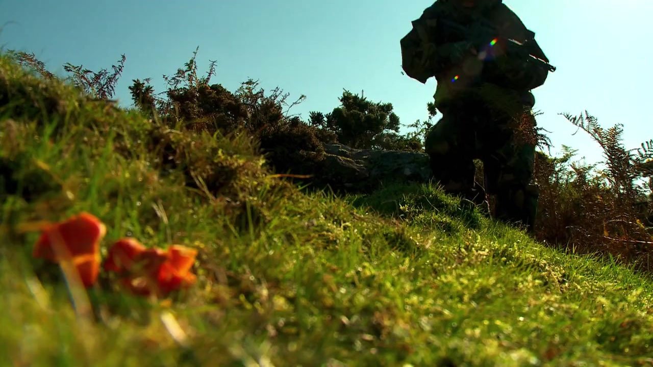 Backdrop for Stag Hunt