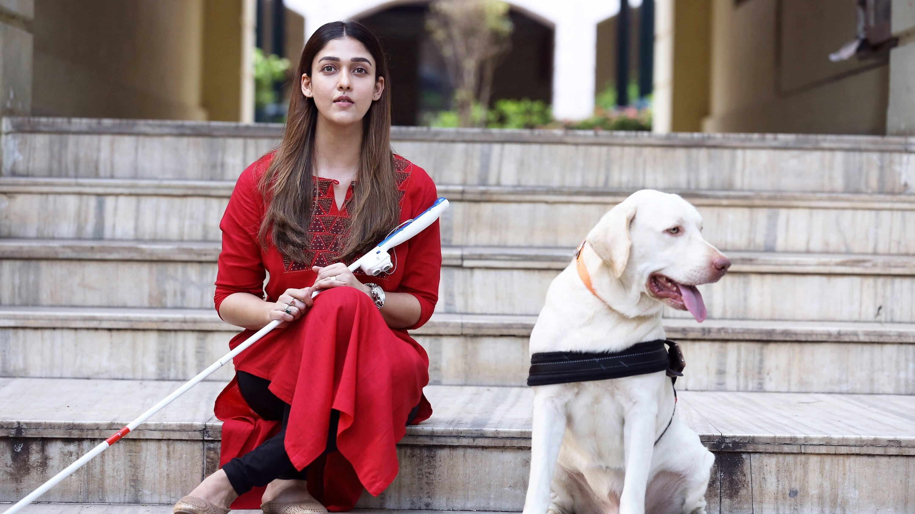 Backdrop for Netrikann