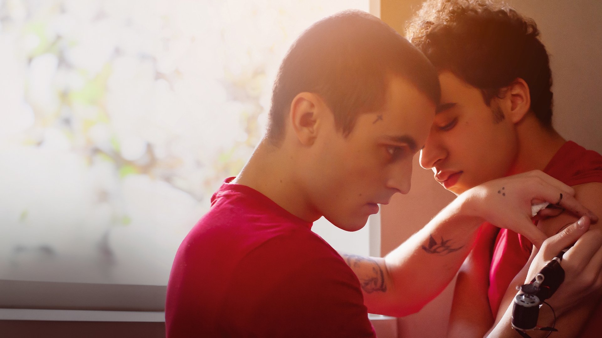 Backdrop for The Lost Boys