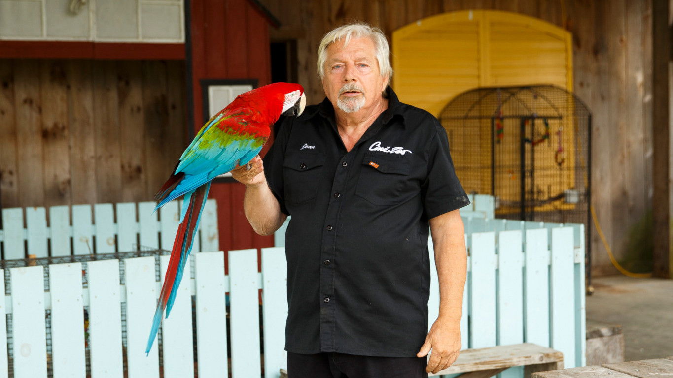 Backdrop for Bêtes de film