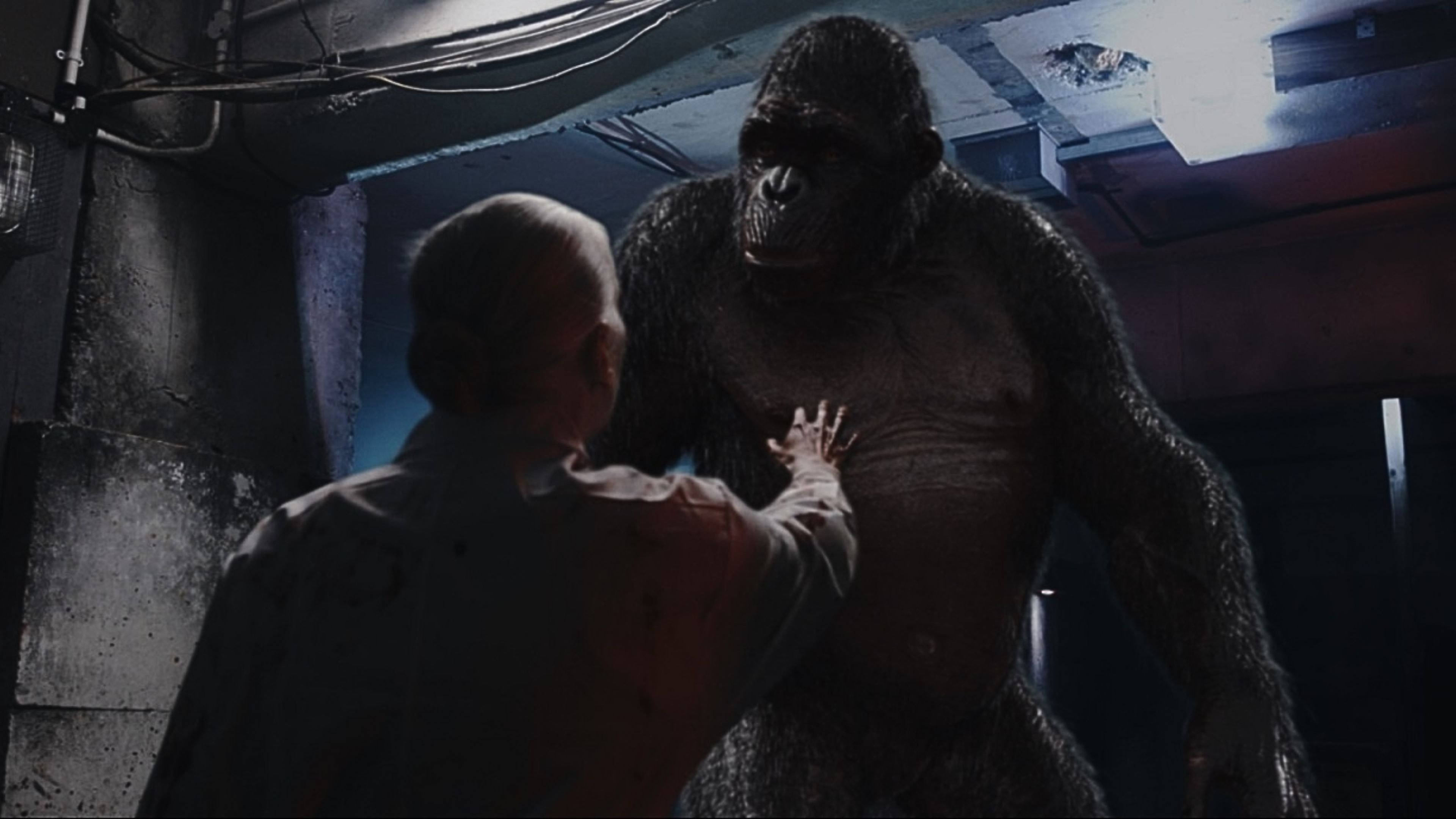 Backdrop for The Rise of the Beast