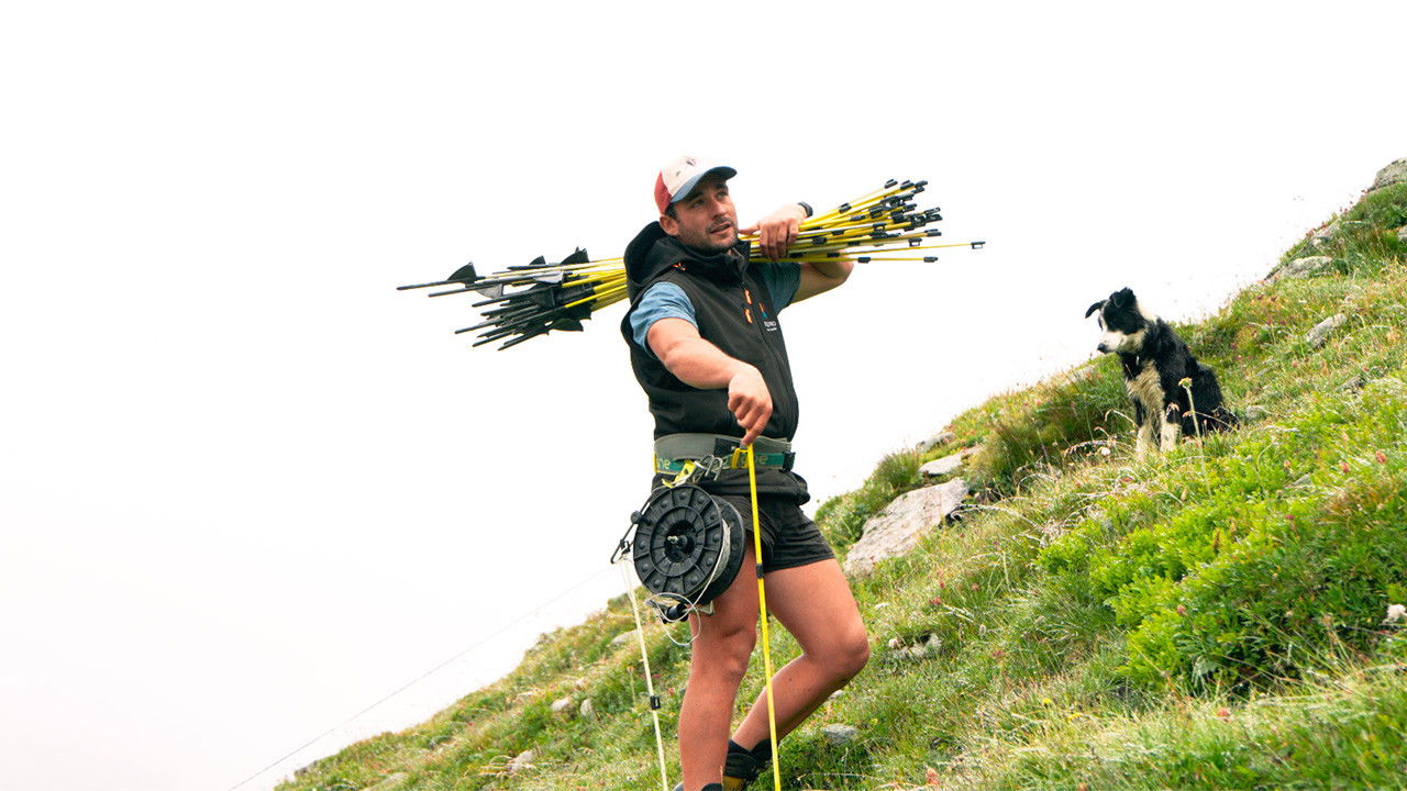 Backdrop for Pachnée