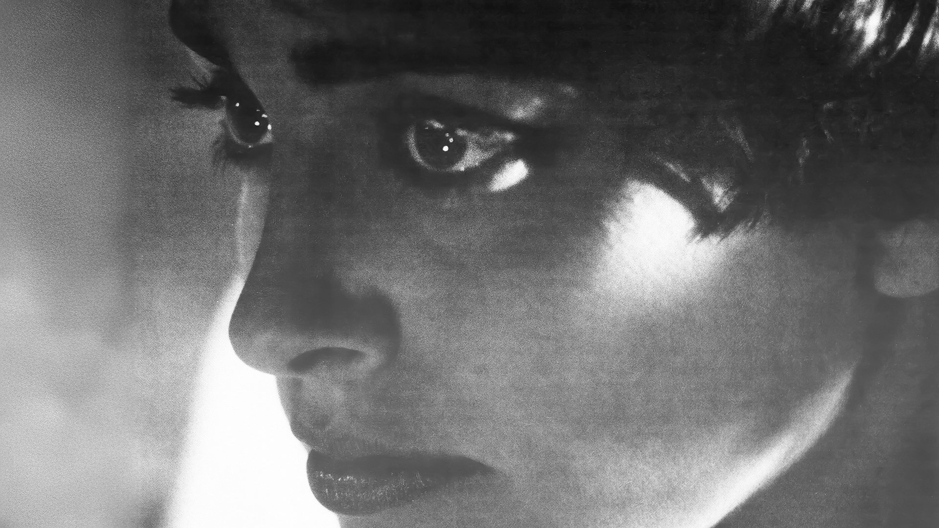 Backdrop for Them Public Romantics