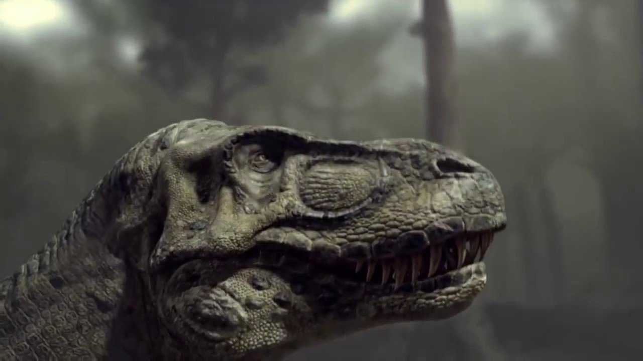 Backdrop for Clash of the Dinosaurs