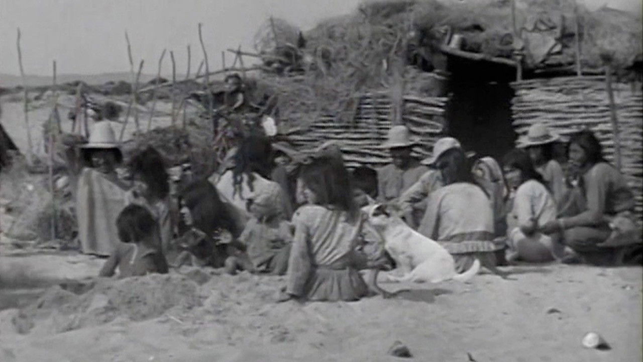 Backdrop for Utopia of Death