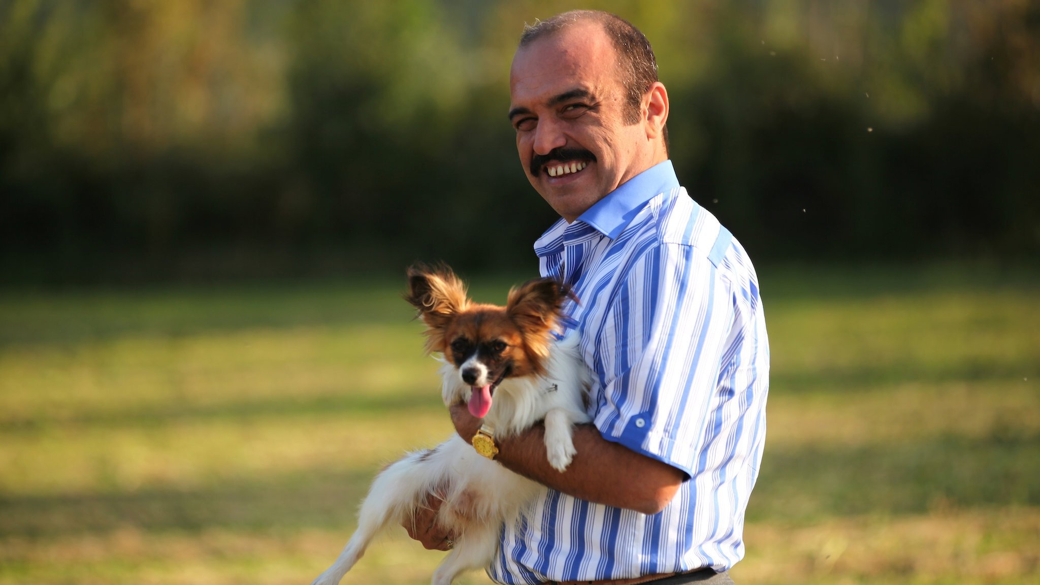 Backdrop for Souk Bazaar