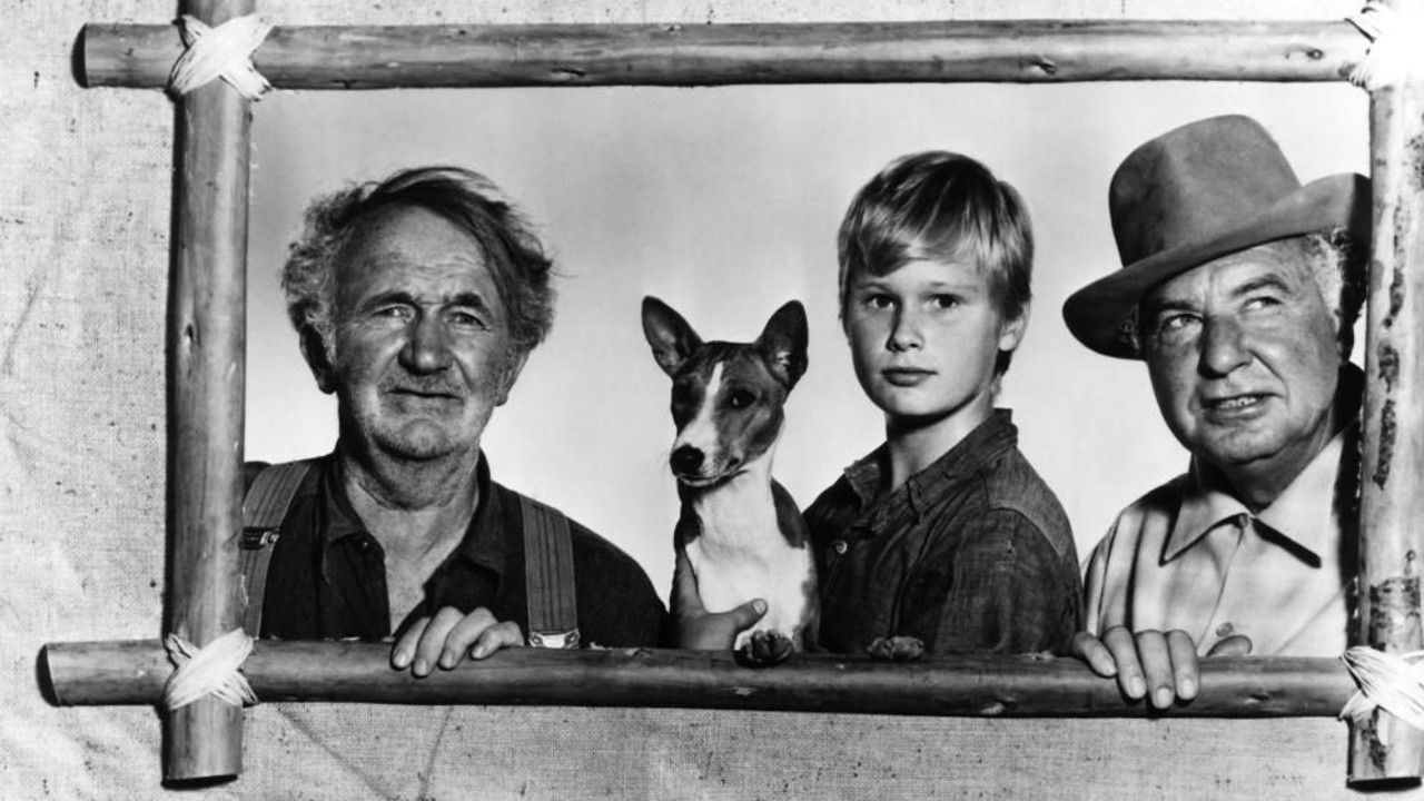 Backdrop for Good-bye, My Lady