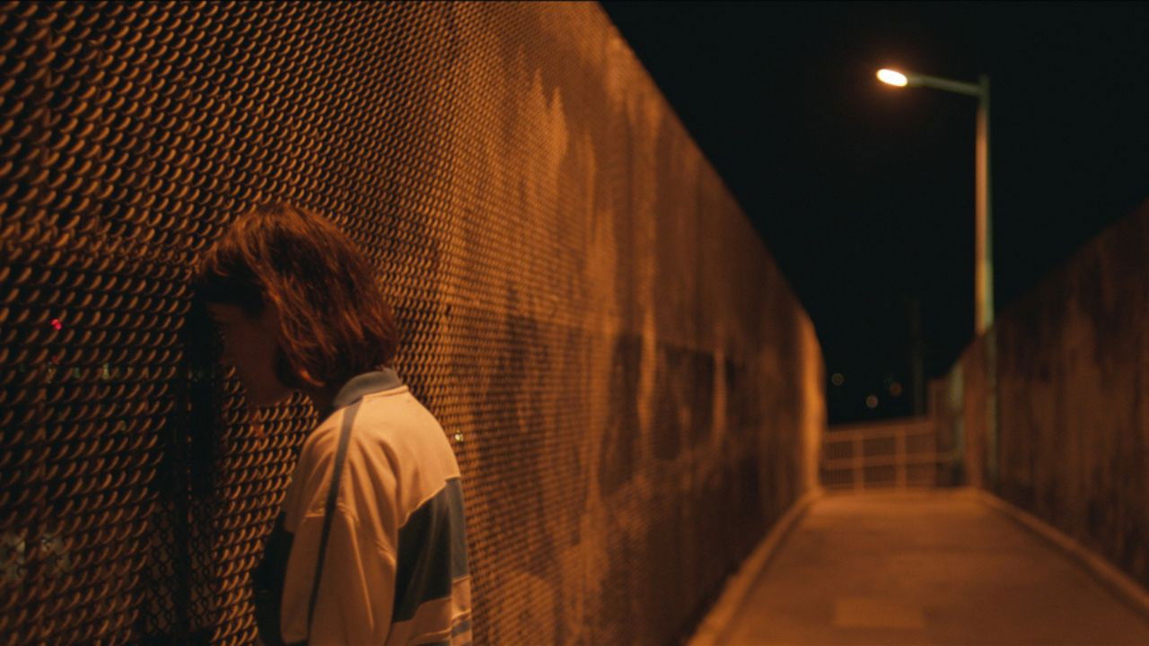 Backdrop for Palm Trees and Power Lines
