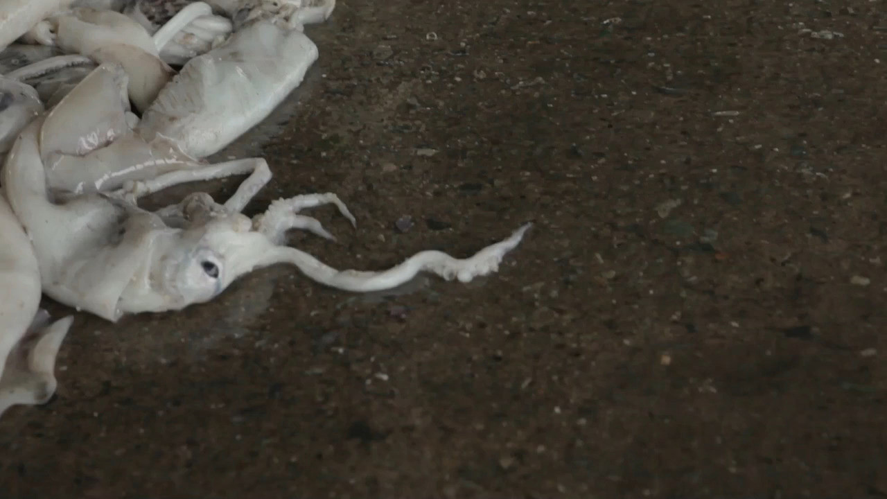 Backdrop for Describe the Color Red to a Blind Man
