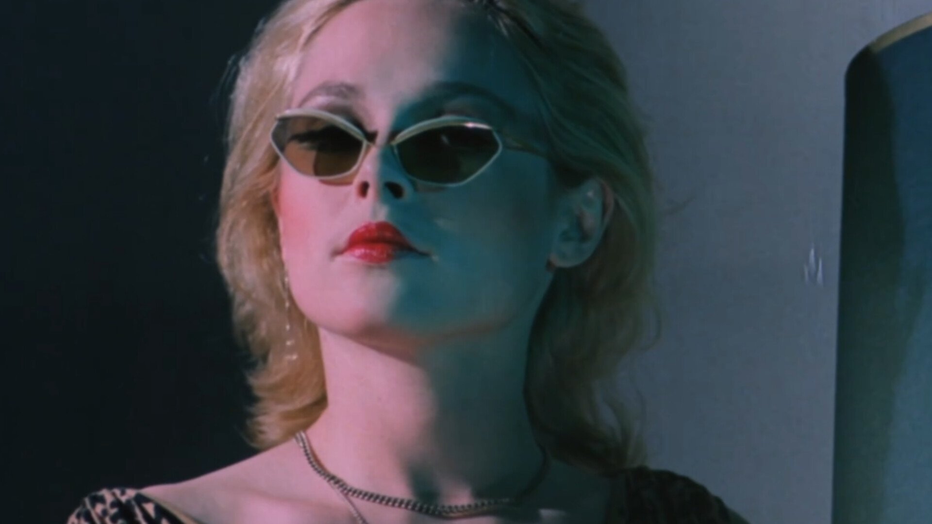 Backdrop for I Like Bats