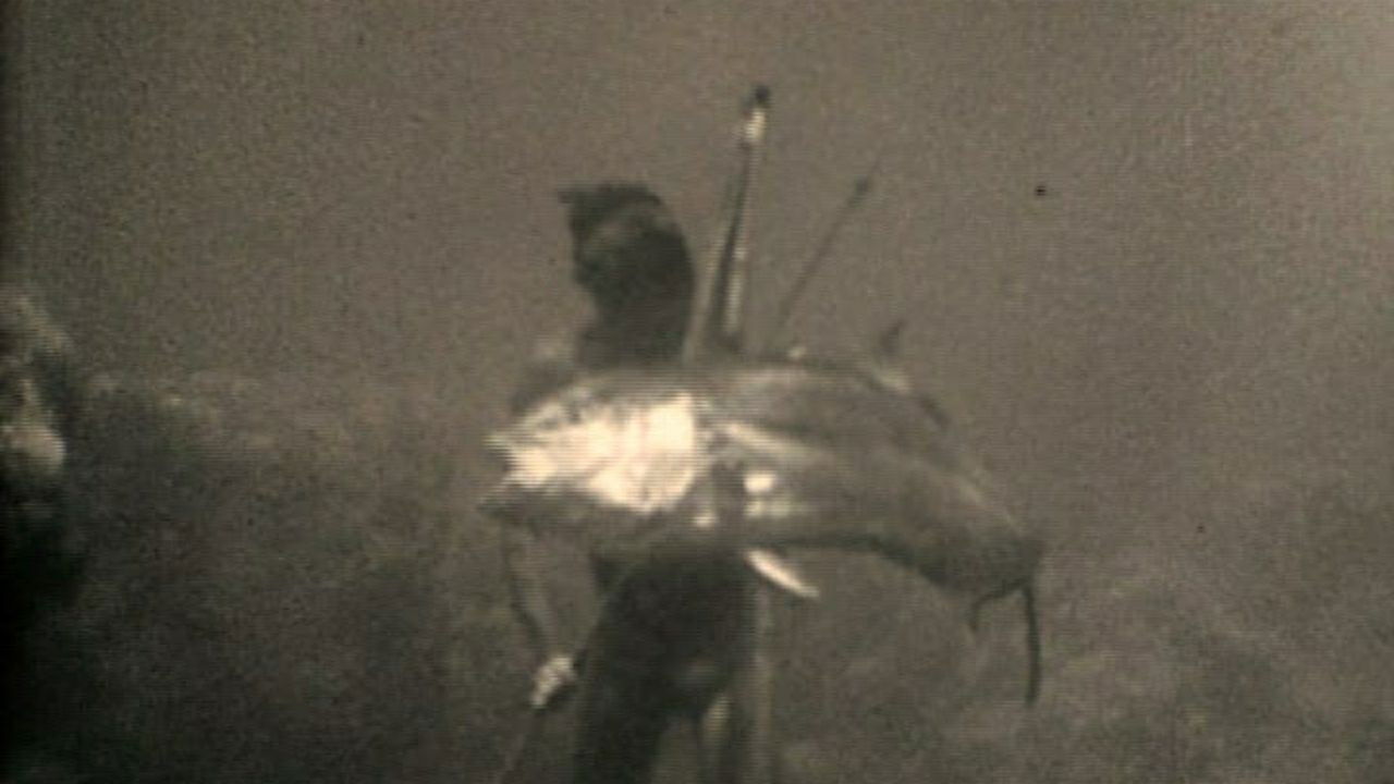 Backdrop for At a Depth of Eighteen Meters