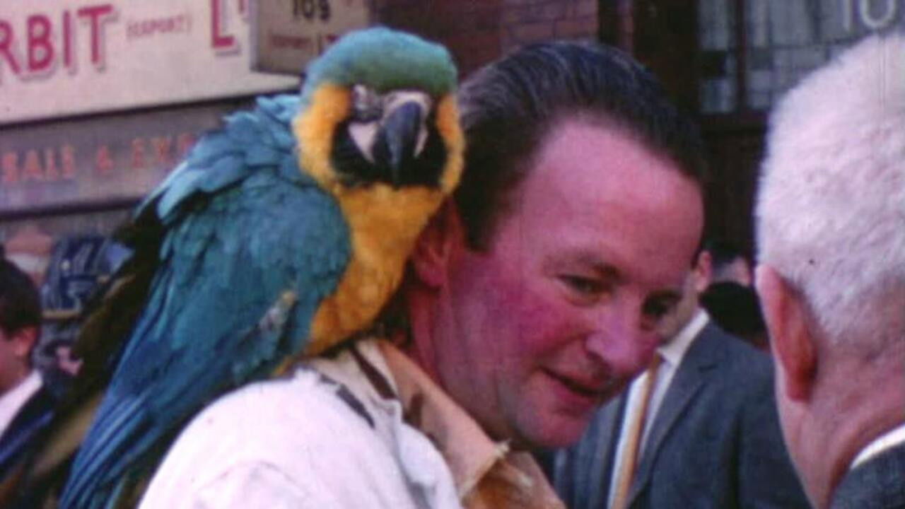 Backdrop for Petticoat Lane