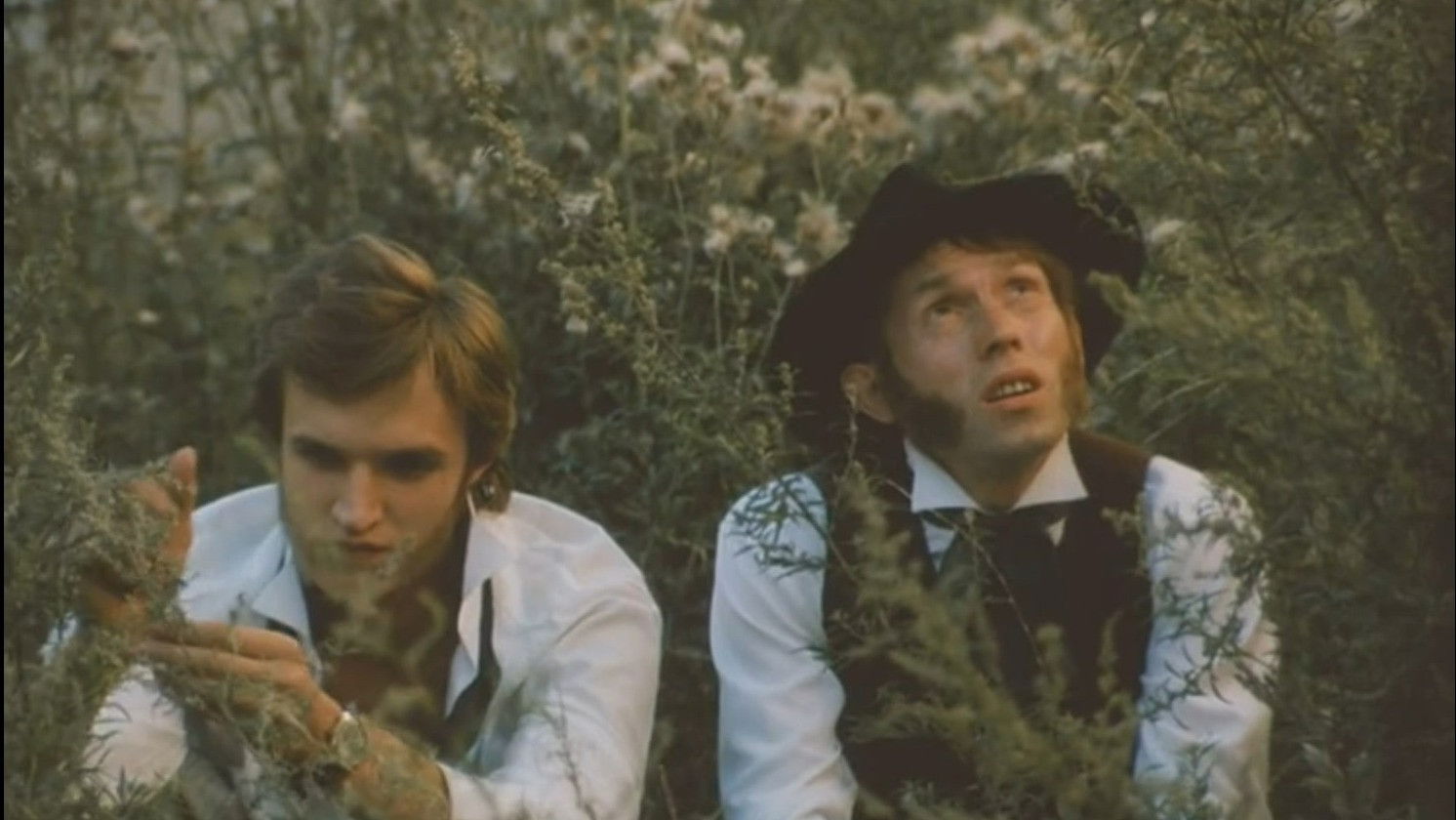 Backdrop for Sideburns