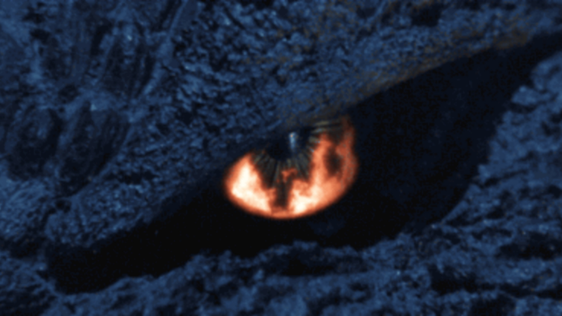 Backdrop for Godzilla: Final Wars