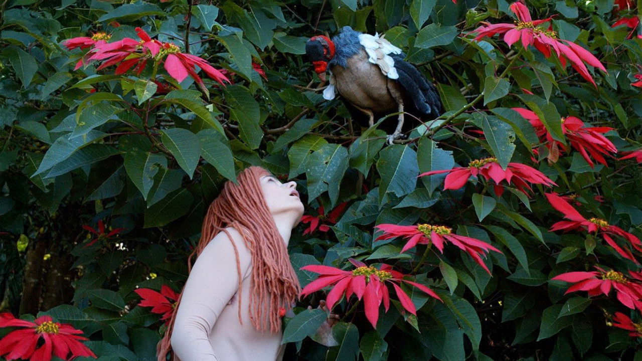 Backdrop for The Diaries of Adam and Eve