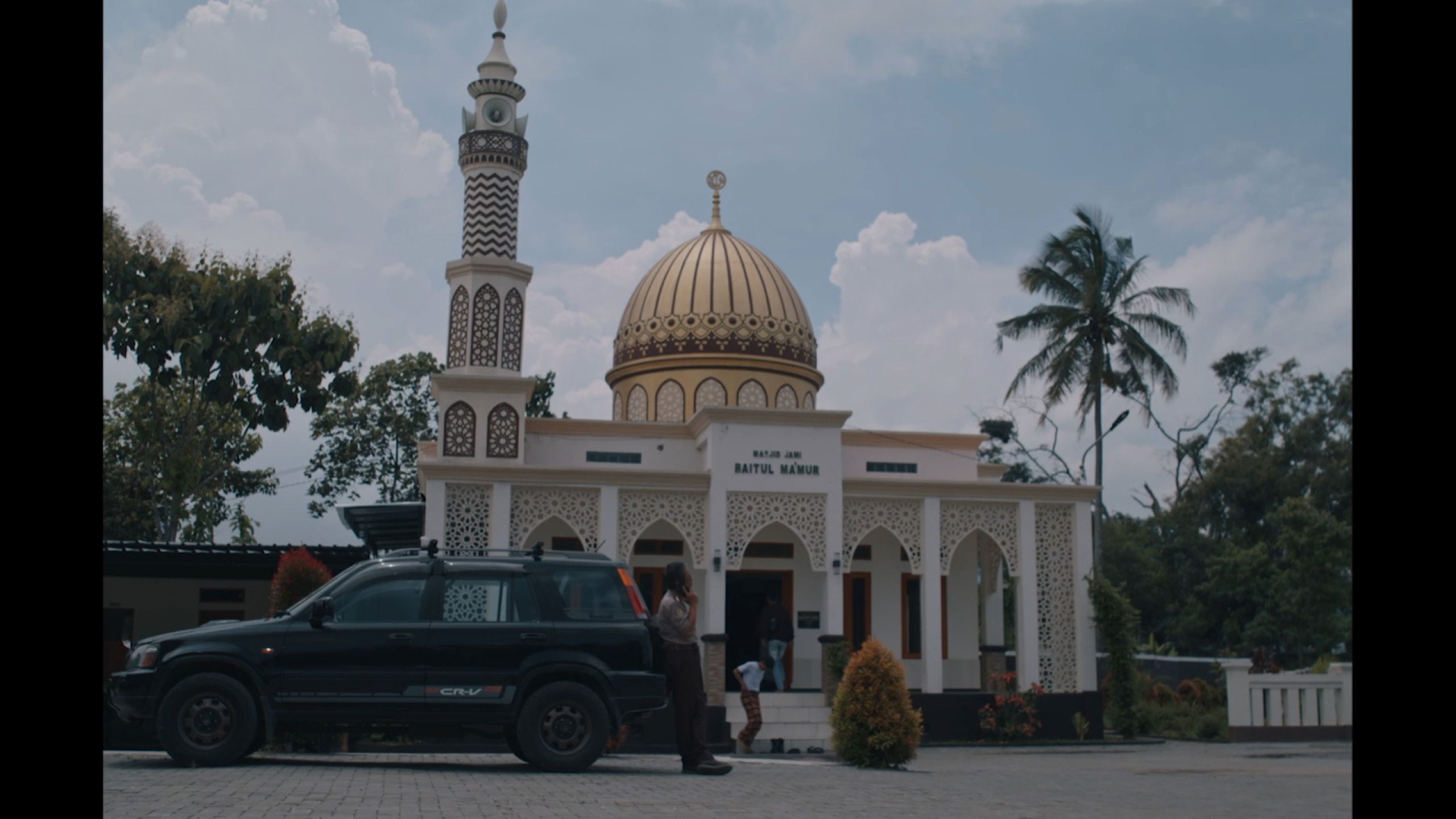 Backdrop for A Cat Can Look at a King