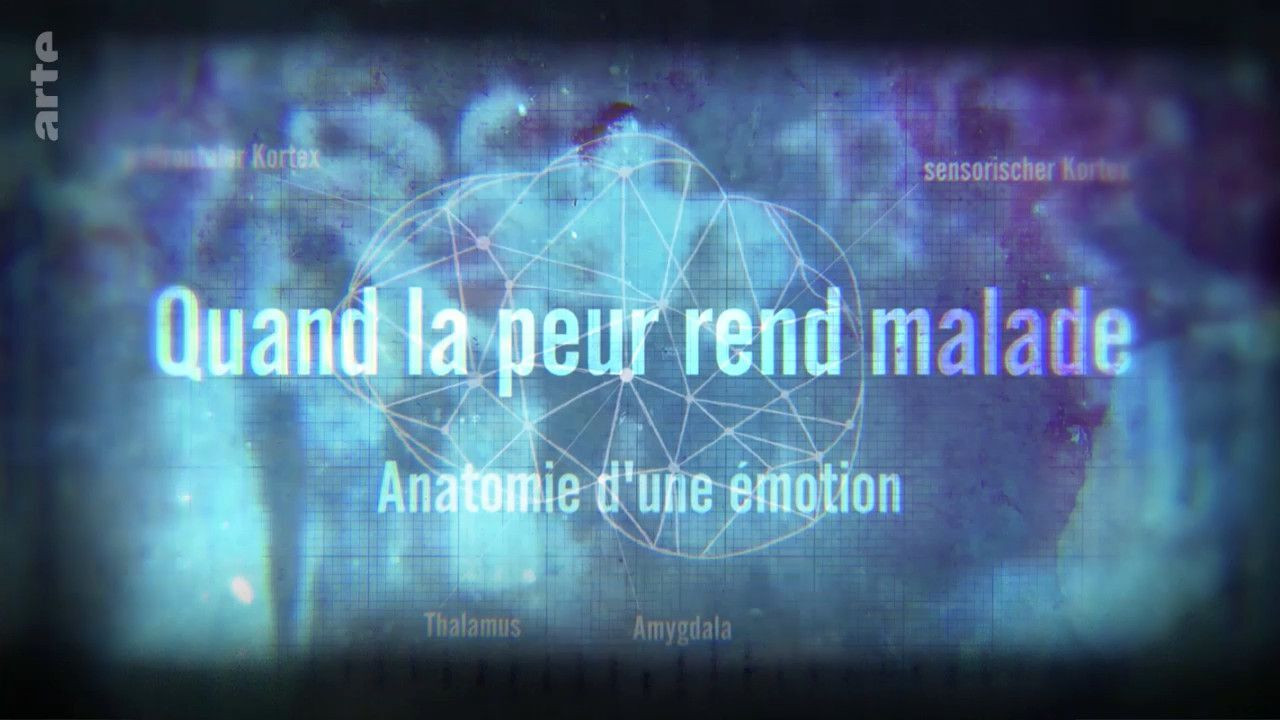 Backdrop for Quand la peur rend malade - Anatomie d'une émotion