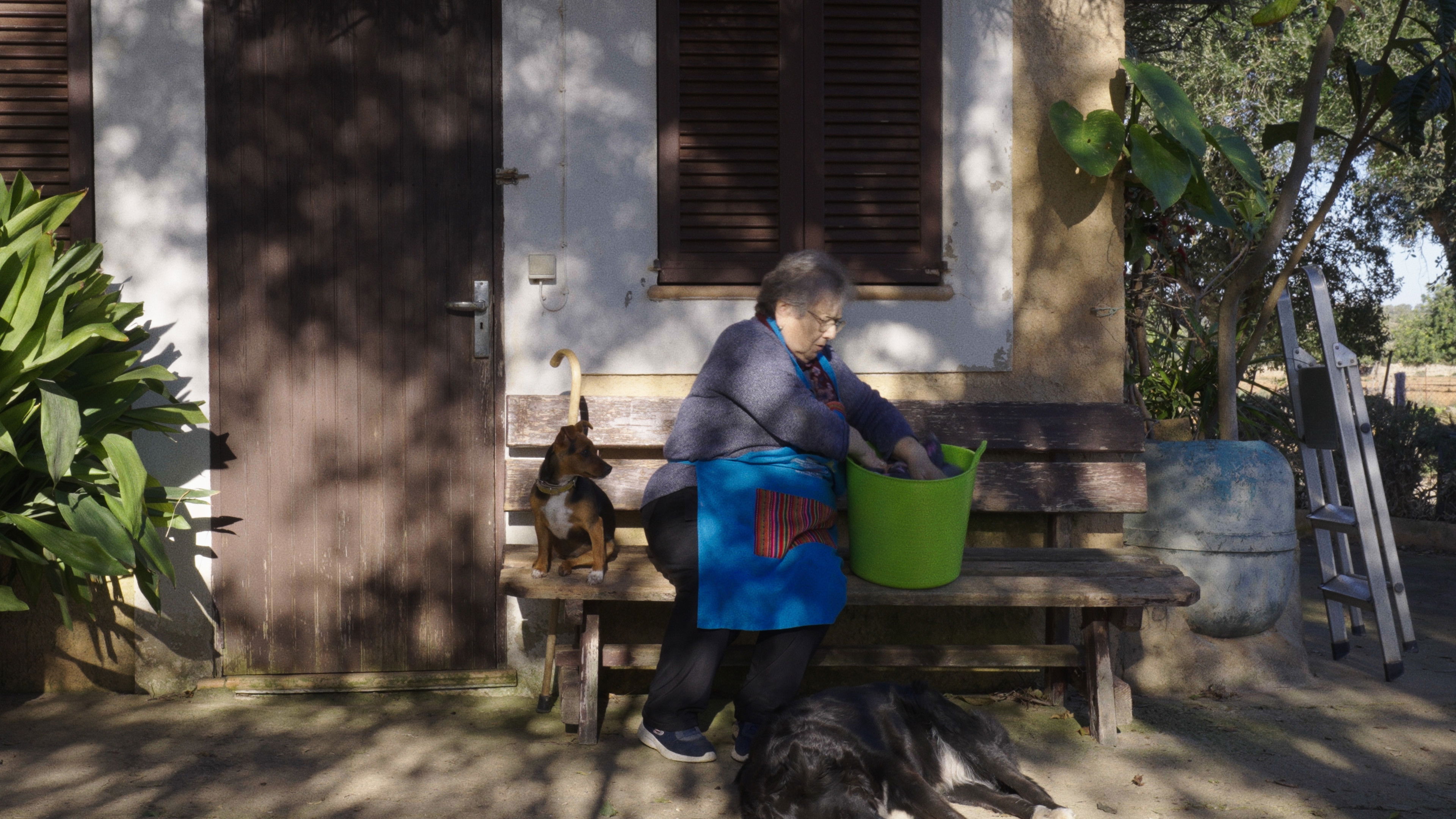 Backdrop for Our Home