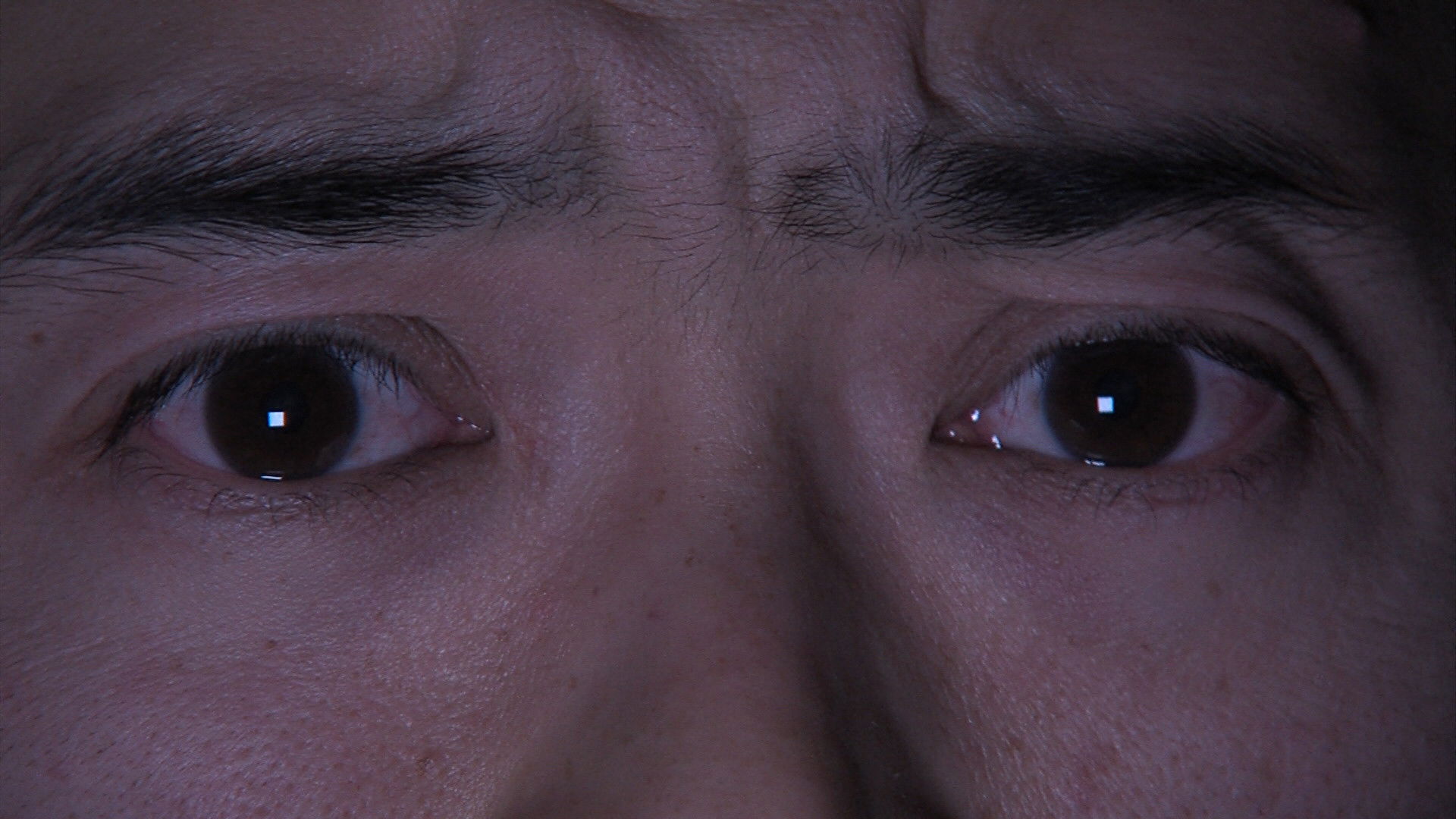 Backdrop for Shutdown